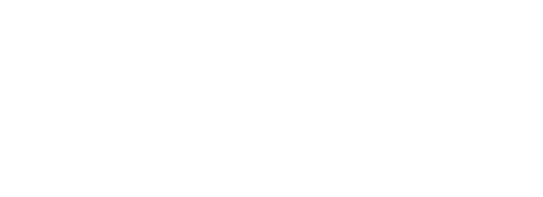 gov.br logo, white text on transparent background